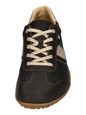 KOEL Sneaker Low ILO SUEDE 3.0 in braun