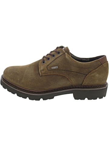 Sioux Adalrik 703 sportlicher Schnürer Braun