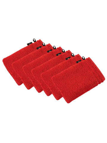 Vossen 6er Pack Waschhandschuh in purpur