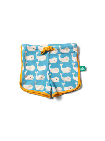 Little Green Radicals Recycled Swim Shorts in Blue