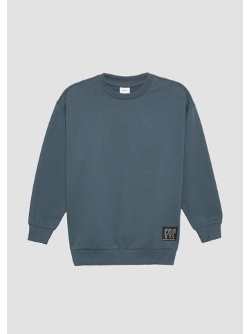 s.Oliver Sweatshirt langarm in Grau