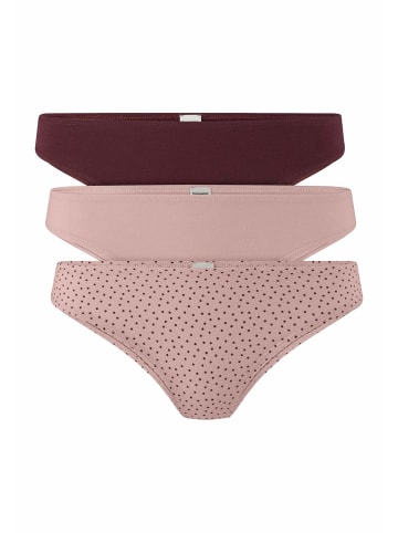 Hessnatur Slip Regular Cut 3er Pack in bordeauxrot