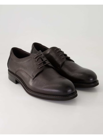 DIGEL Anzug- & Businessschuhe in Braun