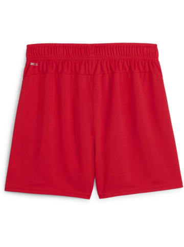 Puma Sporthose "TeamGoal Handball Shorts W" in Rot