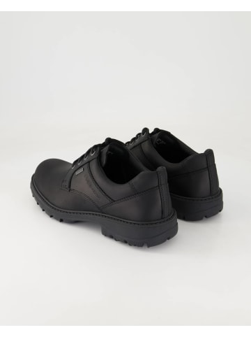 Pius Gabor Sneaker low in Schwarz