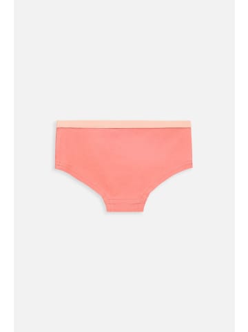 Coccodrillo Unterhose für Mädchen in bunt