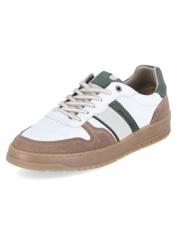 Bullboxer Sneaker in white