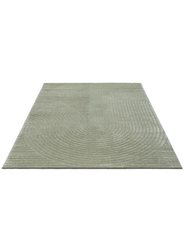 the carpet Kurzflorteppich Everest in Grün