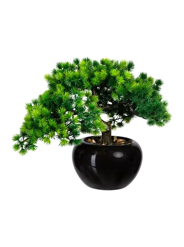 Creativ green Deko-Bonsai Lärche in grün