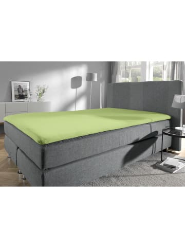 Erwin Müller Single-Jersey Topper-Spannbettlaken Murnau in lindgrün