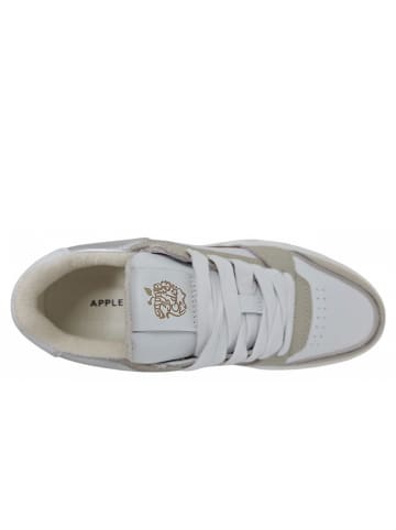 Apple of Eden Sneaker  in Beige