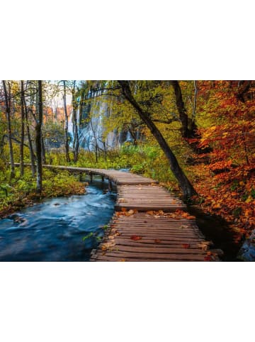 Ravensburger Ravensburger Puzzle 1.000 Teile Herbstlicher Waldweg in bunt