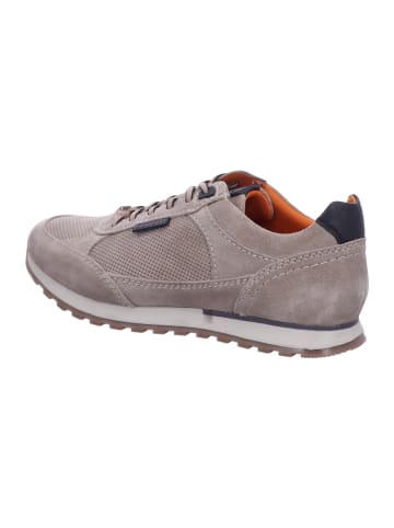 Bugatti Sneaker Low in beige
