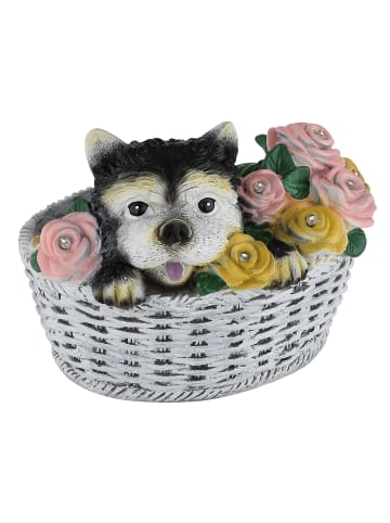 Globo lighting Solarleuchte "SOLAR" in multicolored