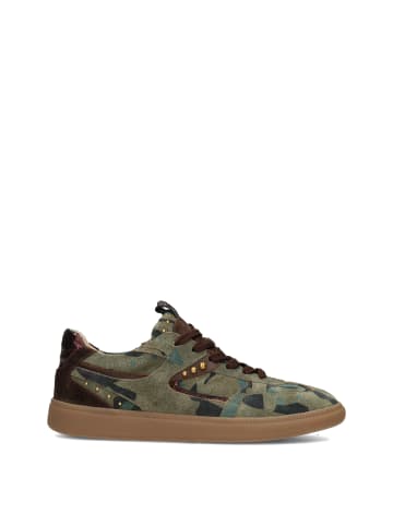 POELMAN Poelman SKYE Damen Sneaker