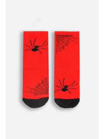 Coccodrillo Socken in rot