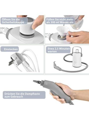 COSTWAY Dampfreiniger 1000W inkl. 10 Zubehör in Grau