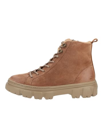 Paul Green Stiefelette in Nut
