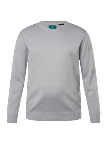 Boston Park Pullover in grau melange