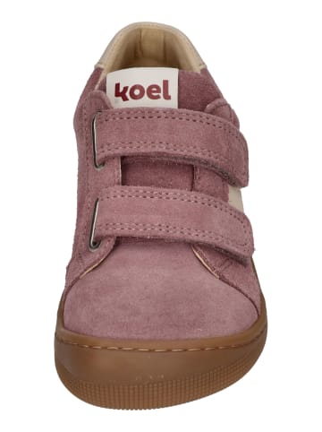 KOEL Sneaker Low DENIS SUEDE 3.0 in rosa