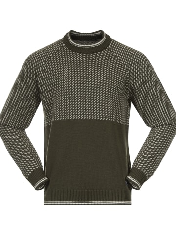 Bergans ALVDALWOOLM JUMPER in Grün