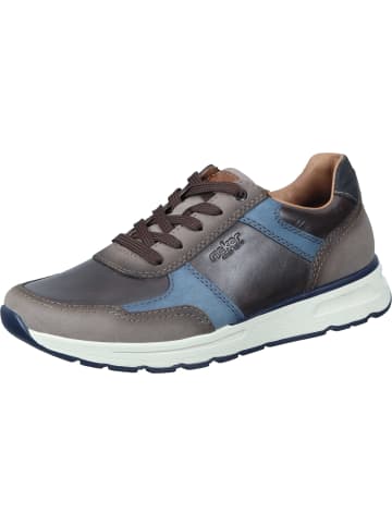 rieker Schnürschuhe in kiesel/espresso/wave/anthrazit