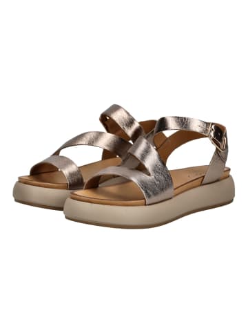 INUOVO Sandalen in Ash