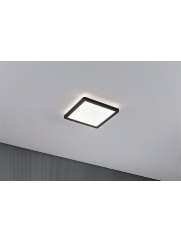 paulmann LED Panel AtriaShine eckig 190x190mm 11,2W in Schwarz