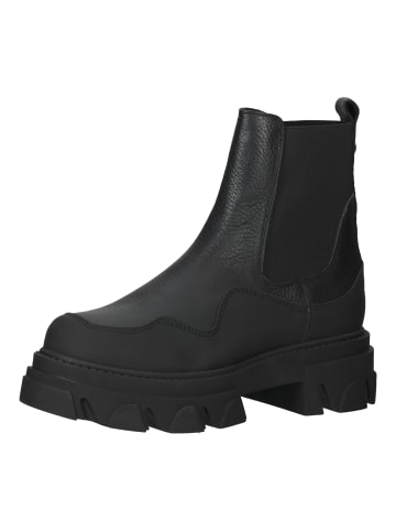 Steve Madden Stiefelette in Schwarz