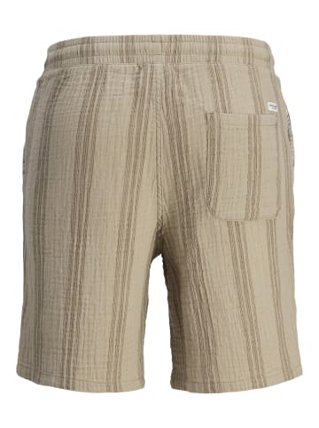 Jack & Jones Shorts in Seneca Rock