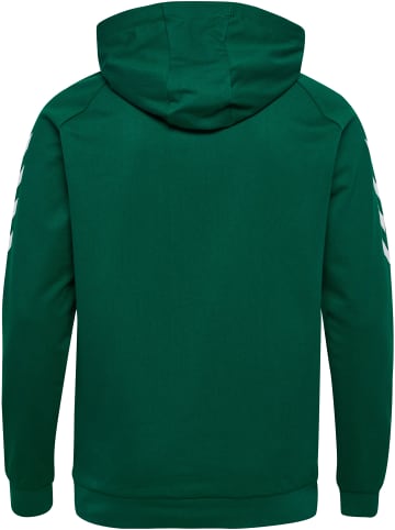 Hummel Baumwoll-Hoodie Hmlgo Cotton Hoodie in EVERGREEN