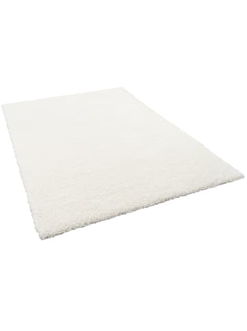 Snapstyle Luxus Hochflor Shaggy Teppich Dream in Creme