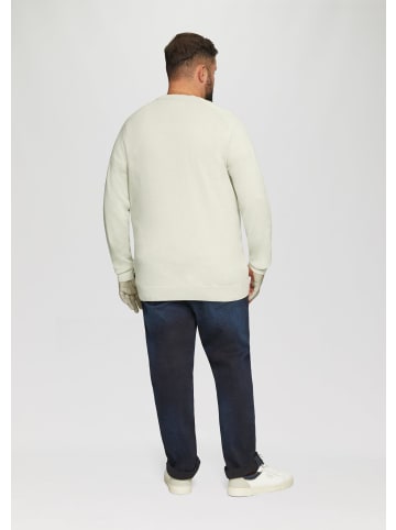 s.Oliver Strickpullover in 80W1_helles beige