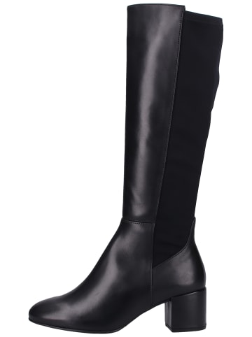 Högl Stiefel in Schwarz