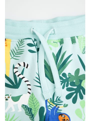 Coccodrillo Kurze Hosen in bunt