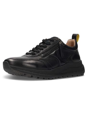 SALAMANDER Sneaker in schwarz