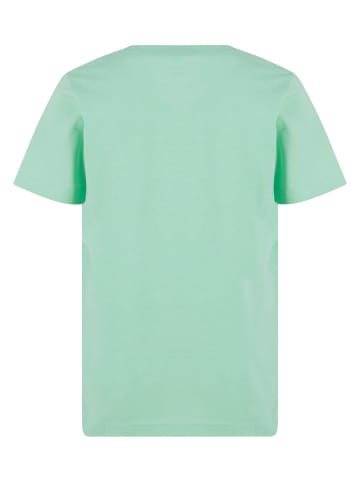 Mister Tee Mister Tee T-Shirts in neomint