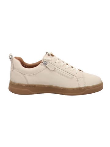 Tamaris Sneaker für Damen in offwhite