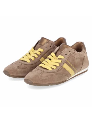 Gabor Low Sneaker in braun