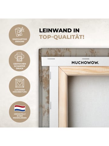 MuchoWow Poster mit Leiste Esel  (BxH)