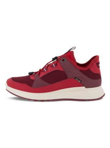 Ecco Sneaker in rot