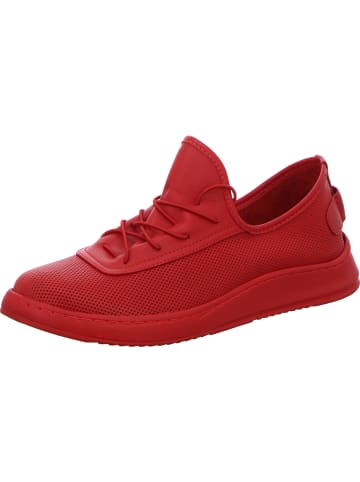 Scandi Schnürhalbschuh in rot