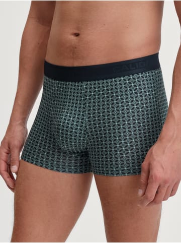 Calida New Boxer in dark glen