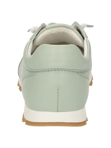 Sioux Sneaker Snejana-700 in hellgrün