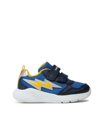 Geox Boy - in Königlich/Marine