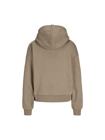 JJXX Sweatshirt in Brindle