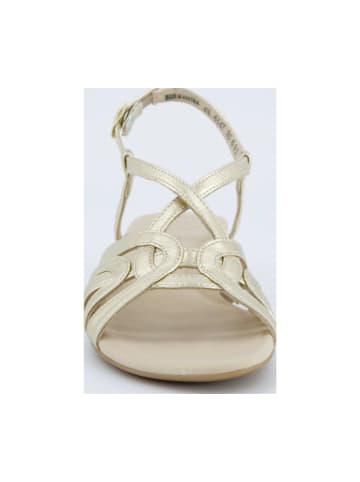 Paul Green Sandalen in Gold