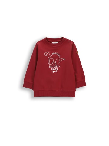 Coccodrillo Langarmshirt in dunkelrot