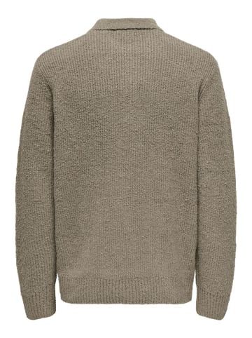 Only&Sons Pullover ONSDALE RLX LS POLO KNIT in Braun