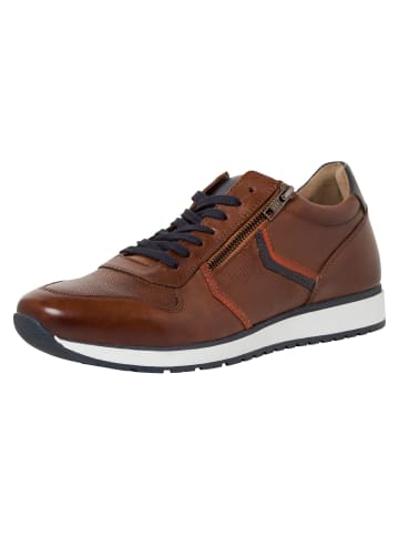 Marco Tozzi BY GUIDO MARIA KRETSCHMER Sneaker in COGNAC COMB